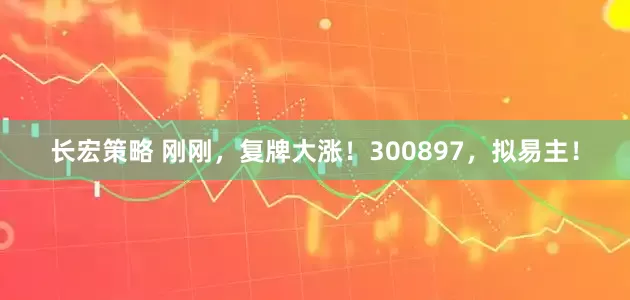 长宏策略 刚刚，复牌大涨！300897，拟易主！