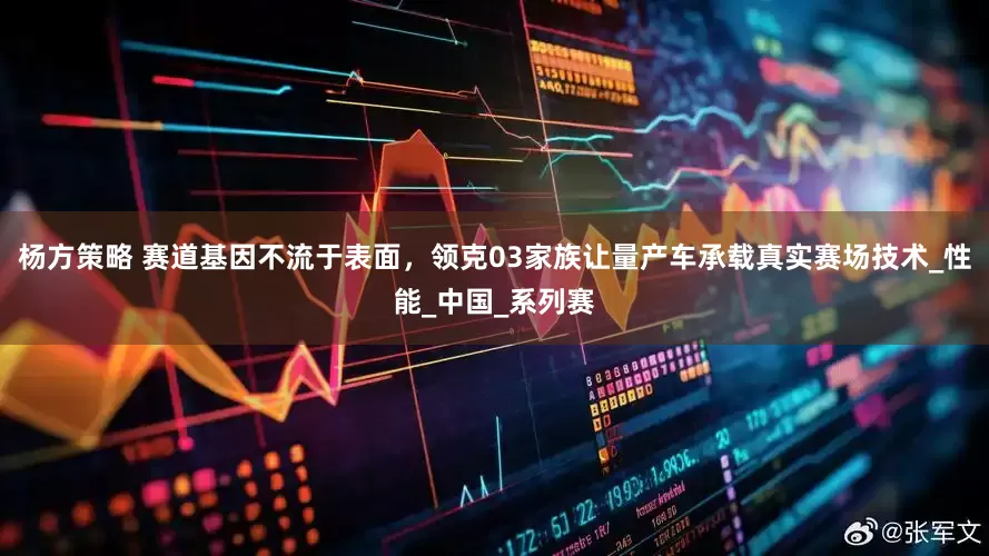 杨方策略 赛道基因不流于表面，领克03家族让量产车承载真实赛场技术_性能_中国_系列赛