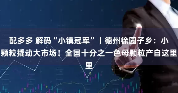 配多多 解码“小镇冠军”丨德州徐园子乡：小颗粒撬动大市场！全国十分之一色母颗粒产自这里